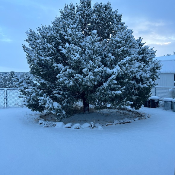 Meet your Posher, Teresa - Picture 11 of 12